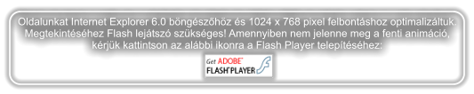 A black, rounded rectangular panel is outlined in white and contains several lines of small white Hungarian text. The text refers to browser and screen-size requirements and asks users to install Flash Player if an animation does not display. A small Adobe Flash Player graphic sits below the text.
